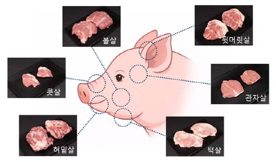 돼지 머릿고기 부위별 모습.사진=농촌진흥청