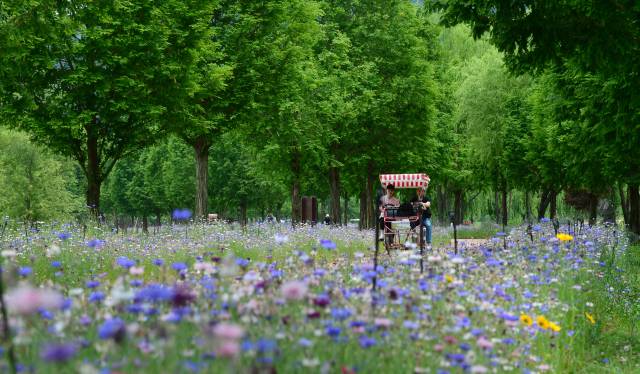 경남 거창군 대표 관광지 ‘거창 창포원’ 전경. 거창군 제공