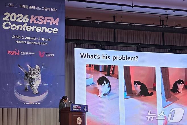 최혜현 잠실온동물의료센터 원장이 1일 서울 광진구 세종대에서 강의를 하고 있다. ⓒ 뉴스1