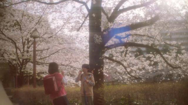 영화 '초속 5센티미터'. 초등학생과 중학생 시절에 집중한 원작과 달리 2008년 현재의 시점을 중심으로 이야기를 풀어간다. 미디어캐슬 제공