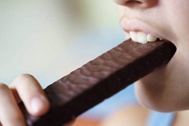 시중에 판매되는 단백질바·에너지바 등 바 형태 제품의 평균 지방 열량 비율이 권고 범위를 초과했다는 연구 결과가 나왔다./사진=클립아트코리아