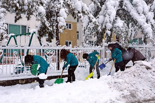태백시 공무원 제설작업 [태백시 제공.재판매 및 DB 금지]
