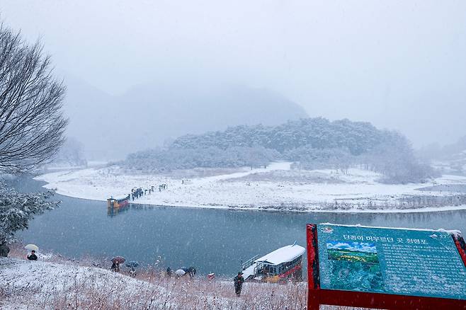 눈 오는 영월 청령포 [영월군 제공.재판매 및 DB 금지]