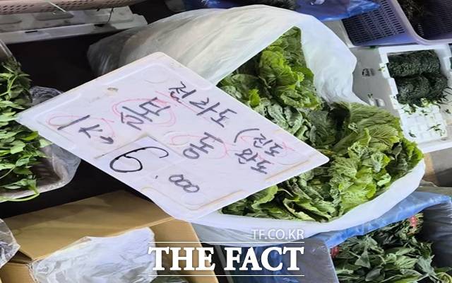 4일 '오승혁의 '현장'은 두쫀쿠(두바이 쫀득 쿠키) 다음은 봄동 비빔밥이라는 말이 나올 정도로 인기를 누리는 봄동의 시세를 살펴봤다. /마포농수산물시장=오승혁 기자