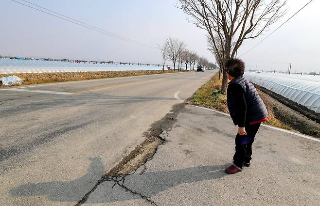 전북  A시의 한 국도 위에서 한 주민이 위태롭게 도로를 건너고 있다.이곳은 봄에는 이팝나무, 가을에는 코스모스가 핀 도로. 시속 60km 구간이지만 지키는 차량들이 별로 없다. 인근 주민들은 이곳을 산책을 하다가 교통사고를 당하기도 했다. / 김영근 기자