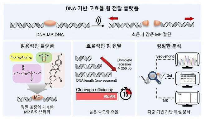 DNA 이중나선 중앙에 메카노포어를 삽입한 DNA-메카노포어-DNA 구조에서 초음파 자극 시 기계적 힘이 DNA를 따라 전달되어 메카노포어 결합이 선택적으로 절단되는 과정. 곽민석 교수 제공