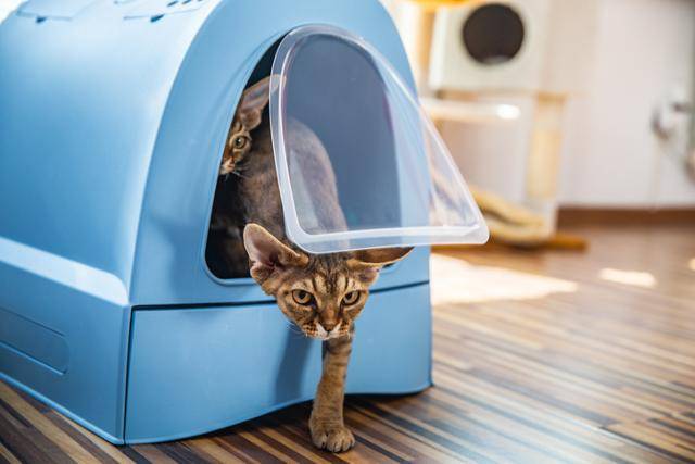 게티이미지뱅크