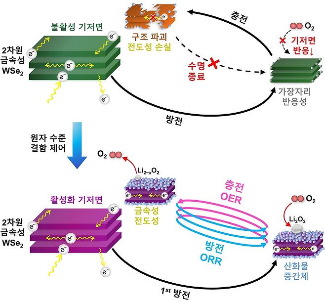 2차원 금속성 WSe2 소재의 기저면 활성화 및 촉매 반응 메커니즘.[KIST 제공]