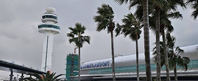 제주공항이 지난달 8일 강풍과 호우로 인해 야자수들이 심하게 흔들리고 있다. 제주 강동삼 기자