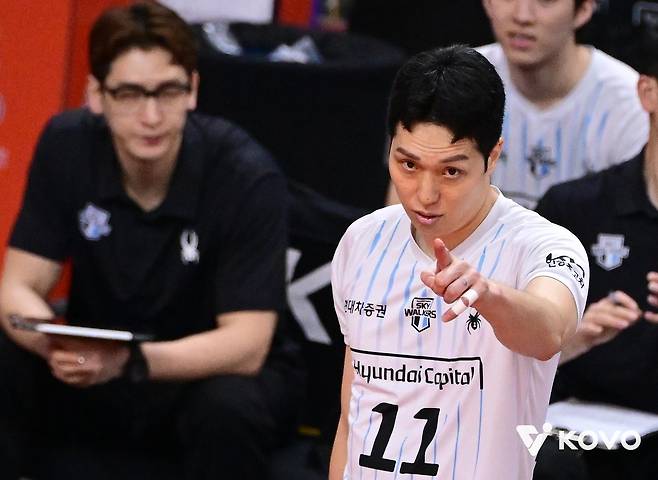 현대캐피탈의 베테랑 미들 블로커 최민호 [한국배구연맹 제공. 재판매 및 DB 금지]