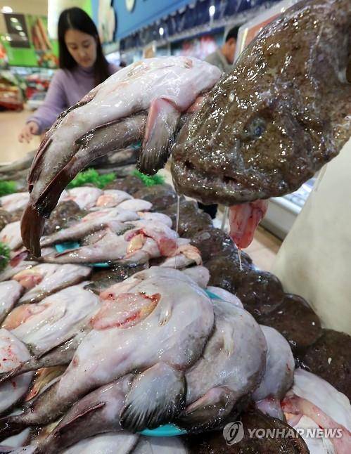 아귀 [연합뉴스 자료사진]