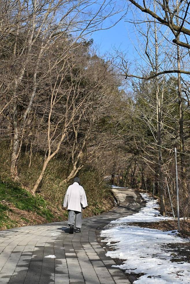 숲길을 따라 이어지는 백양사 참사람의 길.
