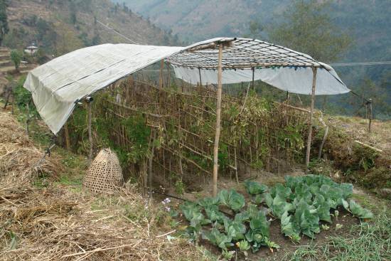 산악 마을에서도 겨울 먹거리를 위한 준비가 되어 있습니다. 시설재배의 초기 단계 모습이지요. 서리나 찬 바람을 막아줄 수 있는 비닐 덮개를 설치하여 작물을 보호합니다.