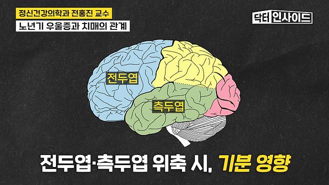 /조선일보 의학·건강 유튜브 '닥터인사이드'
