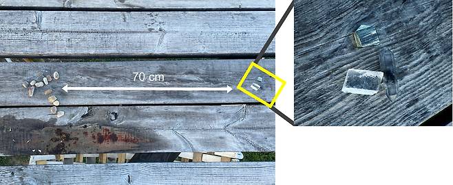 스페인 보호시설에 있는 침팬지 샌디는 자갈 더미에서 세 개의 결정체를 골라냈다. 오른쪽 확대 사진에서 위쪽부터 시계 방향으로 황철석, 석영, 방해석이다./Frontiers in Psychology