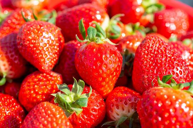 하버드 의대 출신 위장병 전문의 사우라브 세티 박사(43)는 화학물질에 노출 위험이 있는 식품 여덟 가지를 소개했다./사진=클립아트코리아