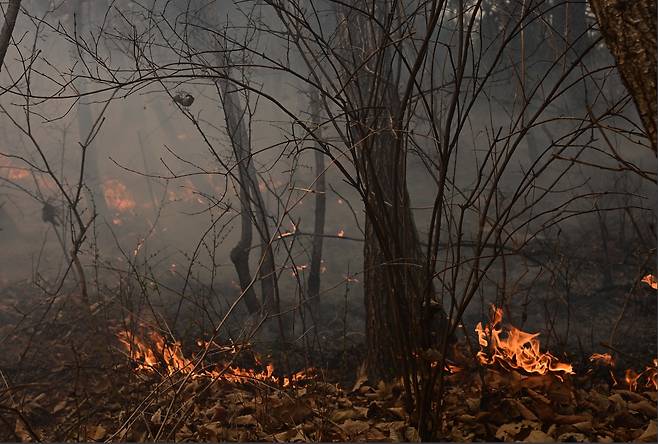 안동시 임동면 가랫재길에 한 야산에 진화되지 않은 잔불에서 연기가 나고 있다. 안동=이상섭 기자