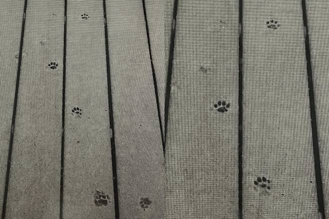 김희애 사회관계망서비스 계정