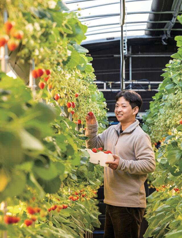 김광훈 씨는 임대농장에서 농사를 시작해 2022년 2640㎡(800평) 규모인 4연동 스마트팜을 지어 이전했다.