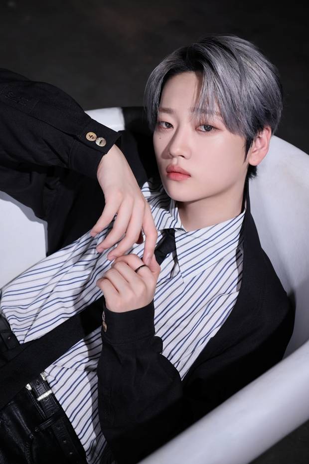 티브이데일리 포토