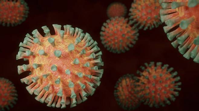 자료사진 출처=픽사베이