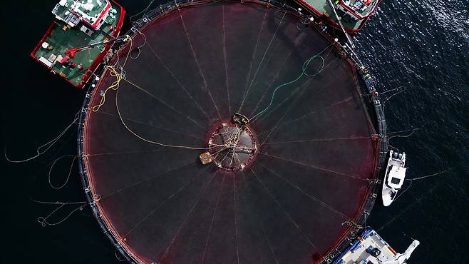 노르웨이의 한 수중 연어 양식장에서 가두리 그물을 수면으로 끌어올리고 있다. 사진 르로이