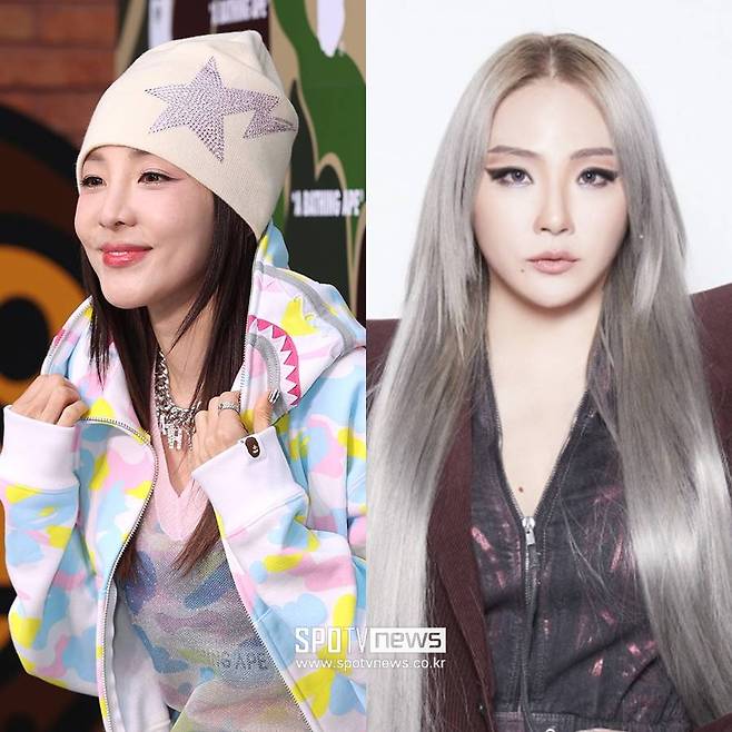 ▲ 산다라박(왼쪽), 씨엘. ⓒ곽혜미 기자, 씨엘