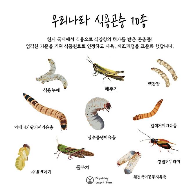 니오타니곤충농장 제공