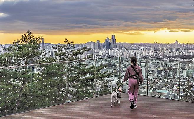 지난 3일 서울 남산 하늘숲길의 ‘노을 전망대’. 해 질 녘 서울 하늘이 노랗다. 멀리 여의도가 보인다. /이신영 영상미디어 기자