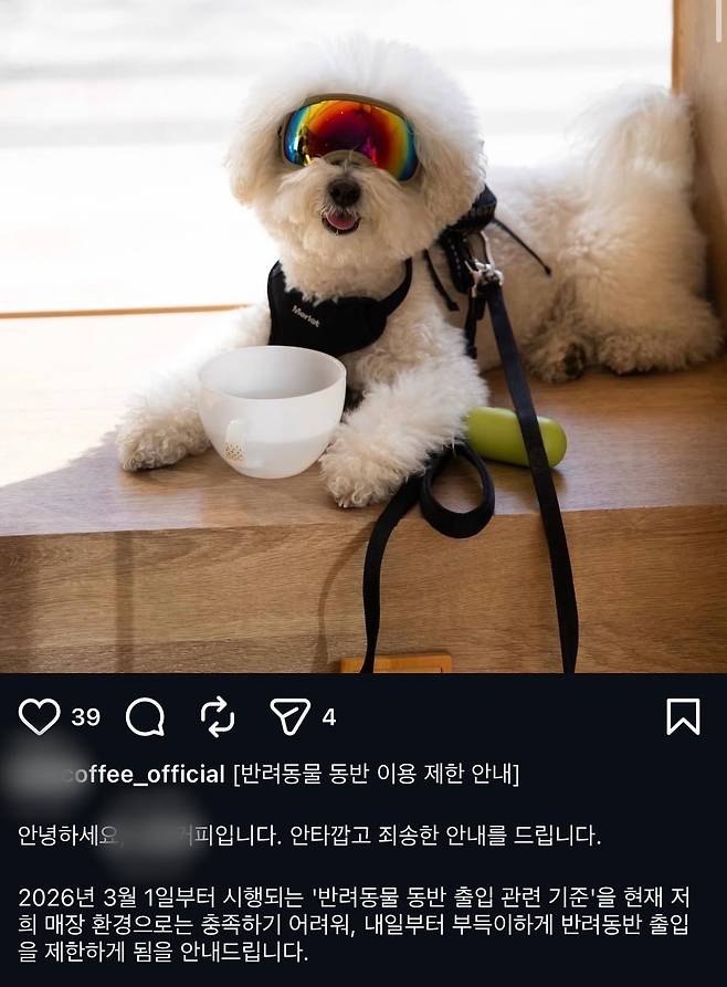 이강민 씨 카페 SNS에 올라온 '노펫존' 전환 공지. /사진=인스타그램 캡쳐