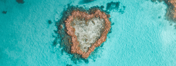 하트 리프 / 사진 = 호주 퀸즐랜드주 관광청