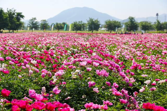 경남 함안 강나루생태공원 / 사진 = 함안군