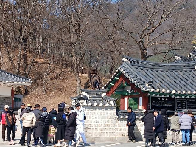 8일 강원 영월군 장릉에 여행객들이 몰려들고 있다. /사진=뉴스1