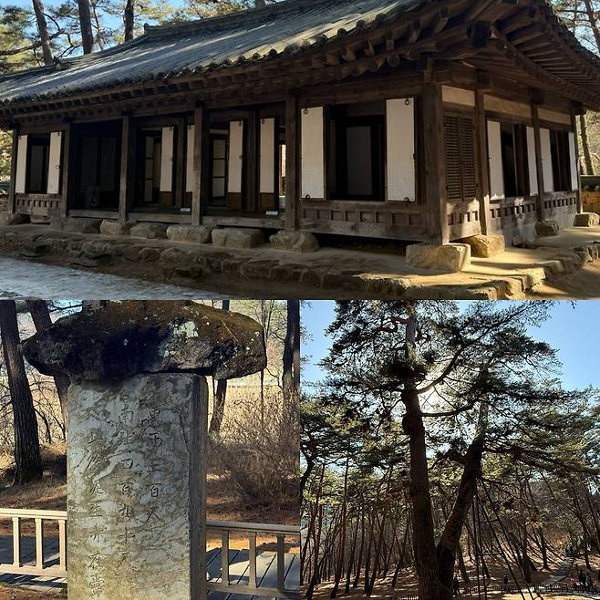 단종이 청령포에서 머물던 단종어소. 그리고 청령포의 상징인 관음송과 일반인의 출입을 금지하기 위해 세운 금표비. 사진 이지영 기자