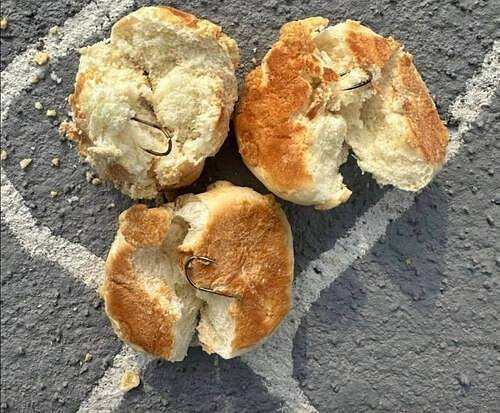 경찰이 반려견 놀이터에 낚싯바늘이 박힌 빵을 버리고 간 60대 남성을 수사 중이다. /사진=SNS 캡처.