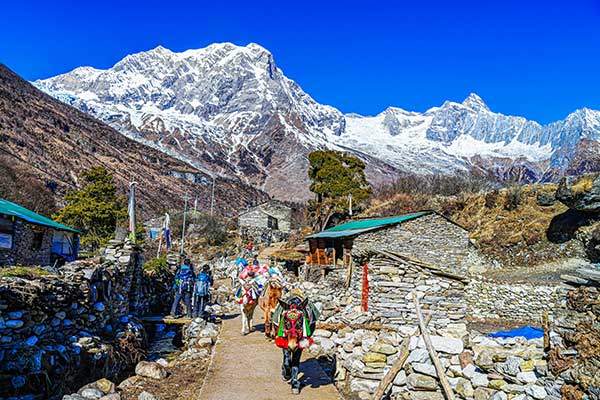 사마가온을 지나는 노새들.