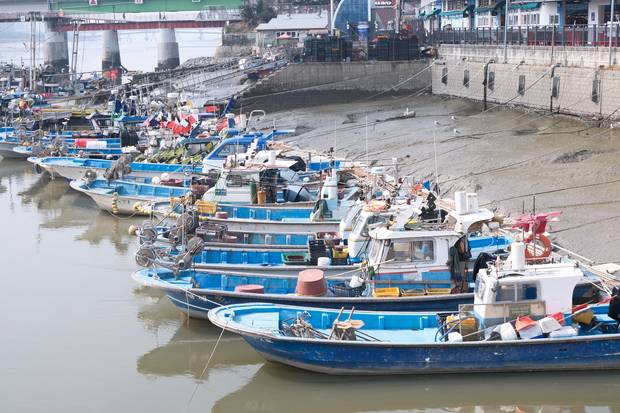 인천 소래포구의 한 어선 정박장에 어선들이 줄이어 정박해 있는 모습. 황동건 기자