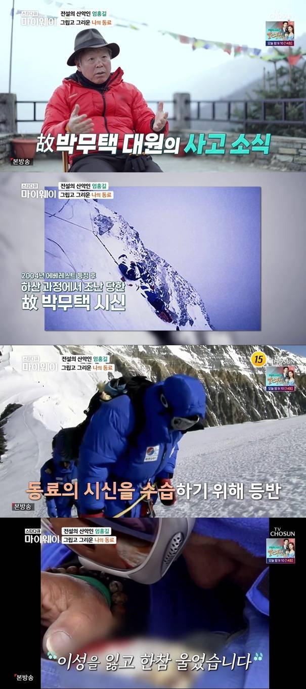 TV조선 방송화면