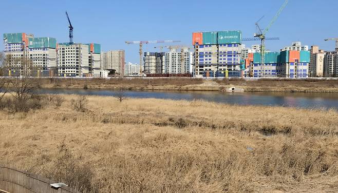 남대천변에 들어서는 아파트  [촬영 유형재]