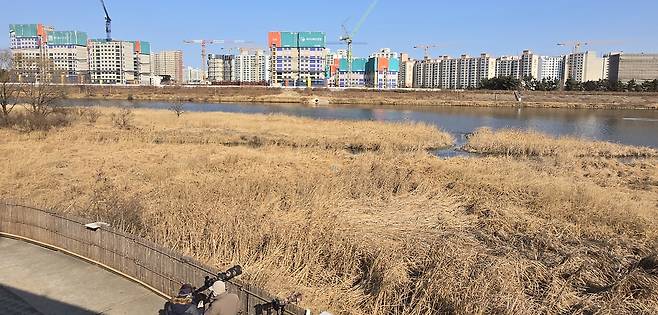 남대천과 아파트·공공기관 연수원 공사장 [촬영 유형재]