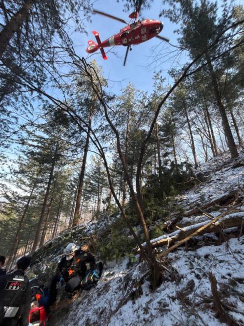 ◇지난 8일 오후 1시25분께 인제군 상남면 인제졸음쉼터 뒤 야산에서 간벌 작업 중이던 A(68)씨가 넘어지는 벌도목에 맞았다. A씨는 병원으로 이송됐으나 끝내 숨졌다. 사진=강원특별자치도소방본부 제공
