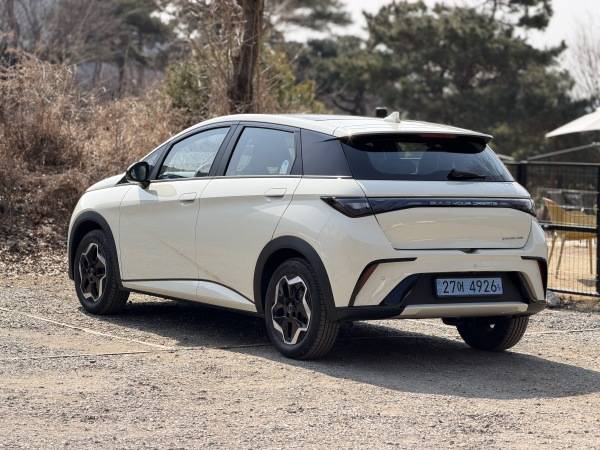 BYD 돌핀 후측면./사진=김연지 기자