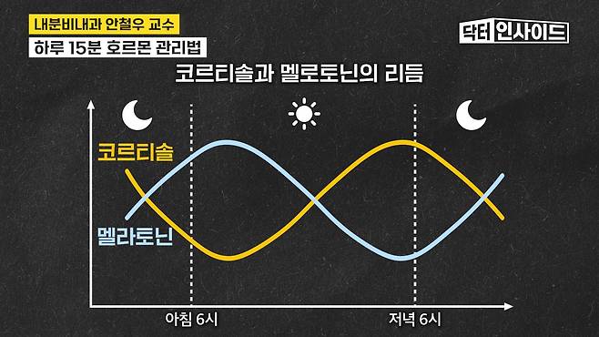 /조선일보 의학·건강 유튜브 '닥터인사이드'