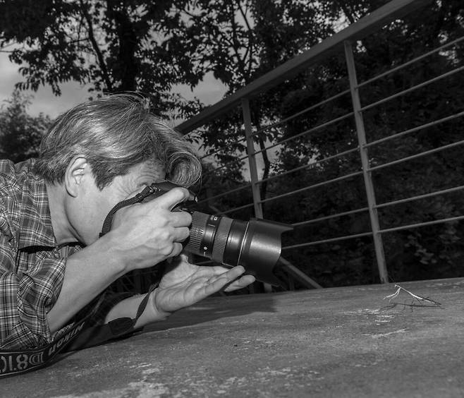 왜소한 사진사가 거대한 사마귀에게 대포 같은 사진기를 들이대며 결투를 요청한다. 찰칵 소리와 동시에 사마귀는 상대의 급소와 관절에 연속타격을 가하는 당랑권(螳螂拳)으로 매운맛을 보여줄 예정이다. 당랑권은 사마귀의 움직임에서 영감을 얻은 중국 무술이다. 종횡무진 골목에서 뛰어놀던 개구쟁이 시절, 무협만화에서 본 당랑권을 어찌나 흉내 내고 다녔던지. 누나에게 대들다가 매번 얻어터지면서도. 2015년 늦여름 전북 남원 지리산 아래.