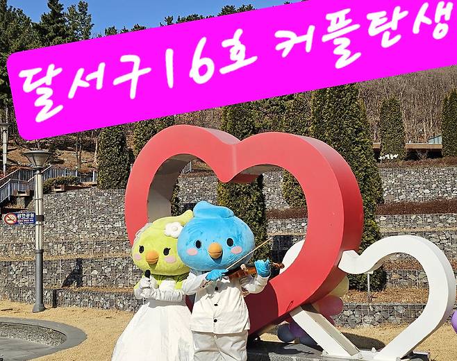 달서구 결혼친화 캐릭터 원앙새인 신랑 ‘달이’와 신부 ‘서리’가 ‘16호 성혼커플’을 축하하고 있다. 대구 달서구 제공