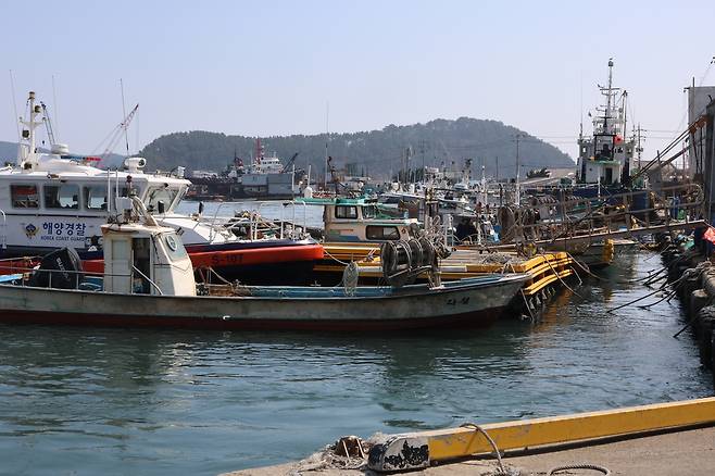 다대항에 정박 중인 선박들 [촬영 박성제]