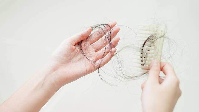 봄철 탈모는 계절 변화에 따른 신체적 스트레스, 호르몬 변화, 알레르기 관련 염증 증가가 주요 원인이다｜출처: 게티이미지뱅크