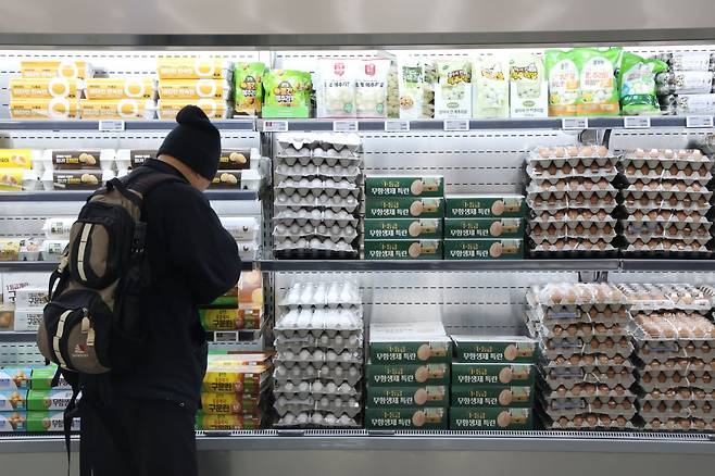 고병원성 조류인플루엔자(AI) 확산 여파가 살처분 확대와 생산량 감소로 이어지면서 계란 가격이 상승하고 있는 가운데 지난 10일 서울의 한 대형마트를 찾은 고객들이 계란을 살펴보고 있다. 뉴스1