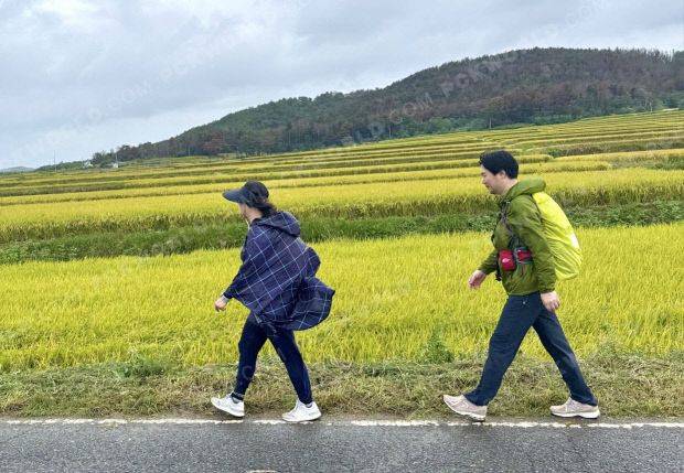 김주선(왼쪽) 목사 등 '생명을 향한 한 걸음' 캠페인 참가자들이 노랗게 익은 논밭이 펼쳐진 시골길을 따라 서로의 발걸음에 맞춰 걷고 있다. 김 목사 제공