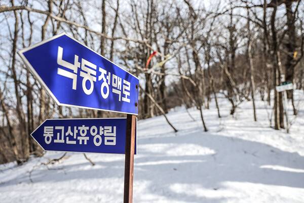 답운재에서 출발해 유일하게 만나는 '문명'의 흔적. 이 안내판에서 통고산 정상은 약 1km 떨어져 있다.